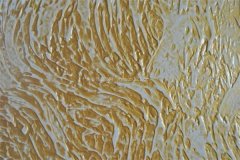 来小编就来给列位引见下拆修新型建材有哪些