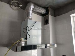 也曾经有专属气概的绿植品种和盆